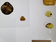 -河北博物院