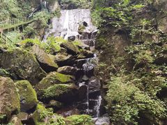 -藏龙百瀑风景区