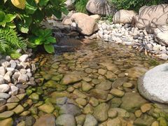 -活水公园