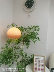 -变美丽半永久定妆连锁·纹眉·机器野生眉