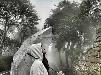 先在山下打卡买茶颜悦色，吃着一路的小吃美食 