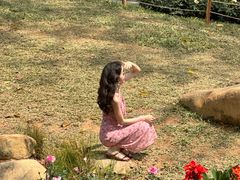 -人民公园(罗湖区)