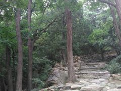 -北京鹫峰国家森林公园