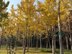 -狼山风景名胜区