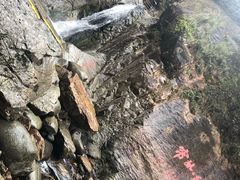 -浙西大峡谷