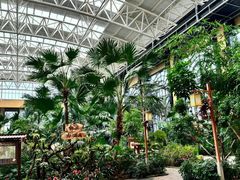 -郑州银基黄帝宫御温泉