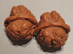 -玉林烤鸭店(定福庄店)