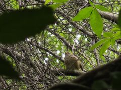 -盘龙城国家考古遗址公园