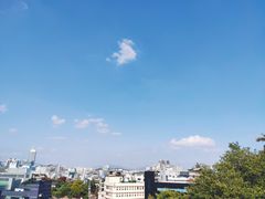 -新罗免税店(首尔总店)