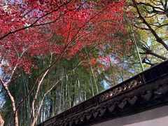-秋霞圃