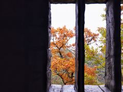 -塔云山