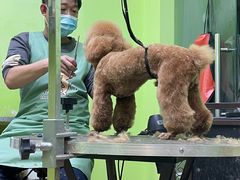 -沐沐家宠物(成寿寺店)