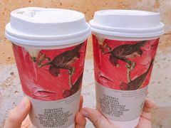 -茶颜悦色(长郡步行街口店)