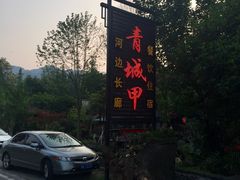 -青城甲(青城山店)