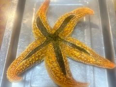 -众想海鲜·烧烤·海肠捞饭·渔家菜(孙家疃店)