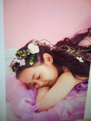 -苏菲亚婚纱影楼尊爵店(昆区店)