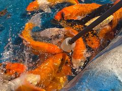 -泉州海丝野生动物世界