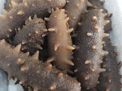 -宫品海参专卖店(黄浦老西门店)