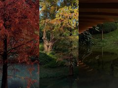 -云溪植物园