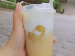 喜乐芝金凤茶王-喜茶(佛山顺德大良东乐路店)