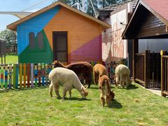 -太阳岛度假酒店