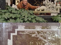 -西湖游船