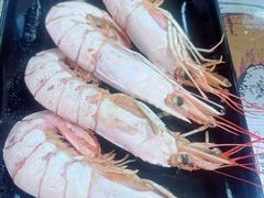 盐焗阿根廷红虾-大连海鲜斑鱼火锅(安平店)