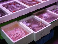 -长平肥姐白粥·海鲜打冷