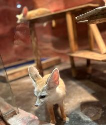 -Zoolung Zoolung动物主题公园(海信广场店)