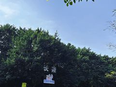-广州长隆飞鸟乐园
