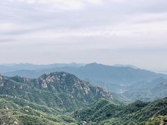 -大岭沟猕猴桃谷风景区