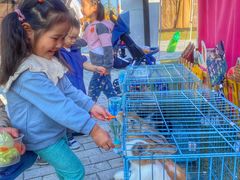 -季高兔窝窝亲子园(上海薰衣草公园店)