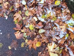 -路易·威登(香榭丽舍大道店)