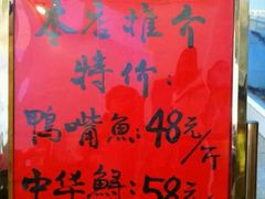 -鸭嘴鱼