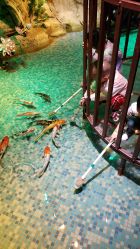 -酷嗒动物文化乐园(cutezoo西溪乐天城店)