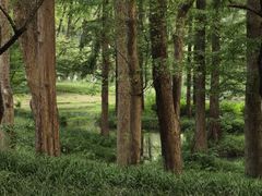 -杭州植物园
