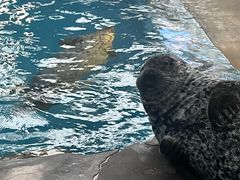 -成都浩海立方海洋公园