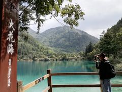 -九寨沟-树正沟