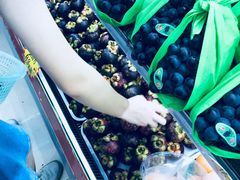-果唯伊(新兴路店)