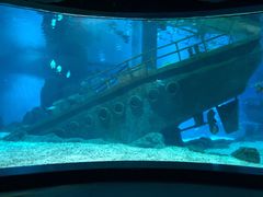 -福州罗源湾海洋世界旅游区