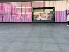 -Victoria's Secret(杭州湖滨银泰in77店)