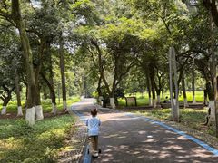 -张坝桂圆林公园