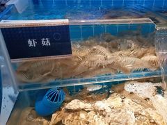 -渔纬港海鲜自助餐厅(湖里万达店)