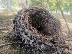 -白塘生态植物园