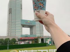 -湖南广电中心大楼
