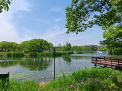 -新江湾城公园