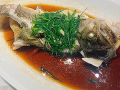 -院里寻菜·精致庭院菜(观沙岭店)