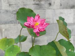 -重元寺