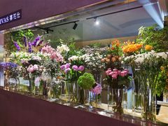 -二酉书店TOYOU BOOKS