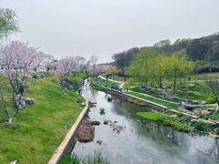 -羊山湖公园